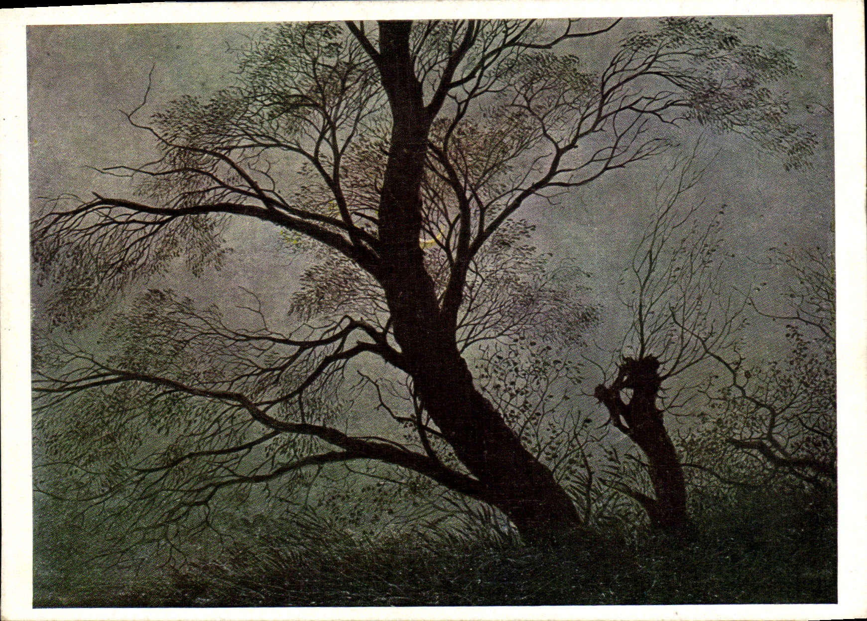 Arbres dans la lumière du crépuscule — Caspar David Friedrich, 1774–1840 — Fink, Stuttgart