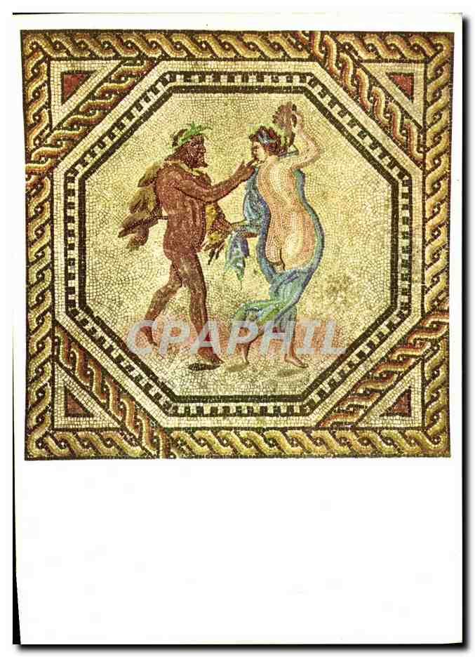 CPM Romisch Germanisches Museum Koln Dyonisos Mosaik