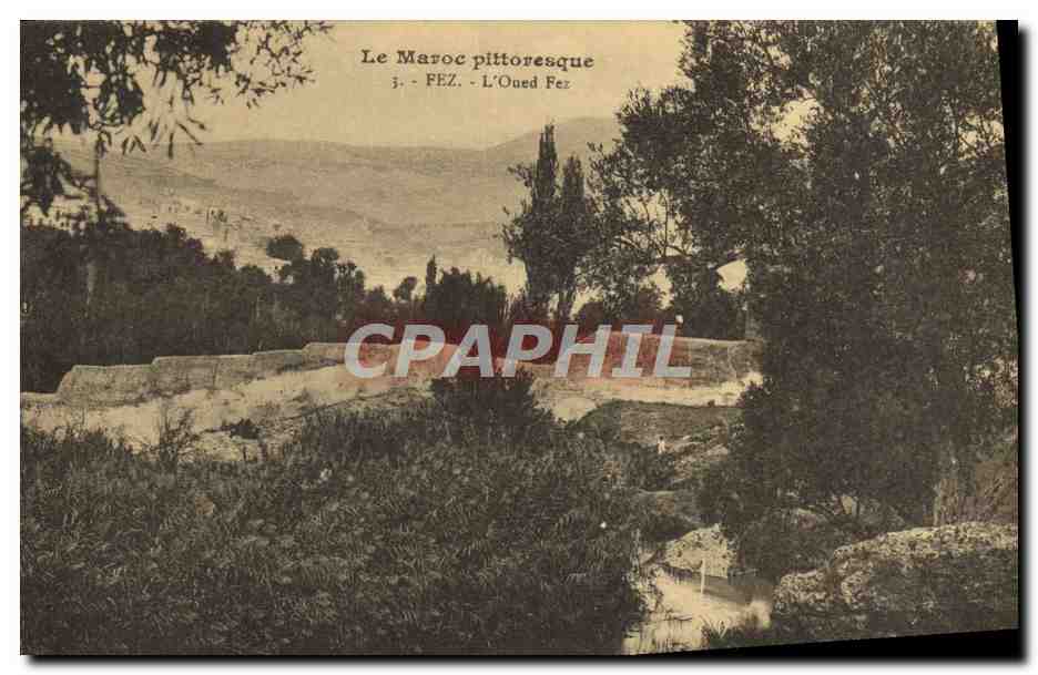 CPA Le Maroc Pittoresque Fez L'Oued Fez