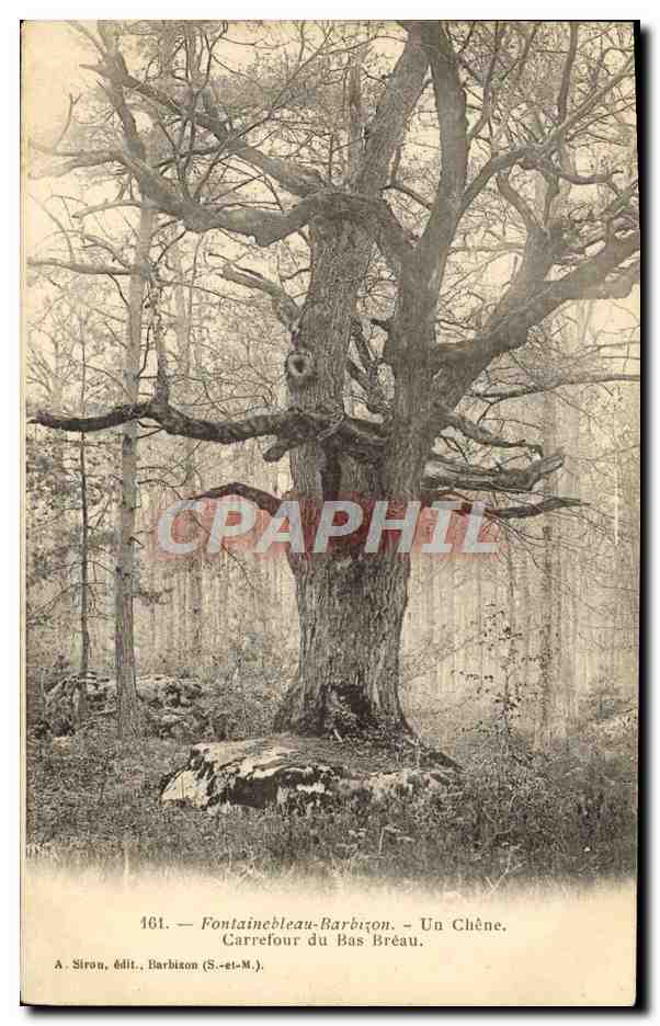 Fontainebleau-Barbizon - Un Roble, Cruce del Bas Bréau — A. Siron, edit., Barbizon (S.-et-M.)