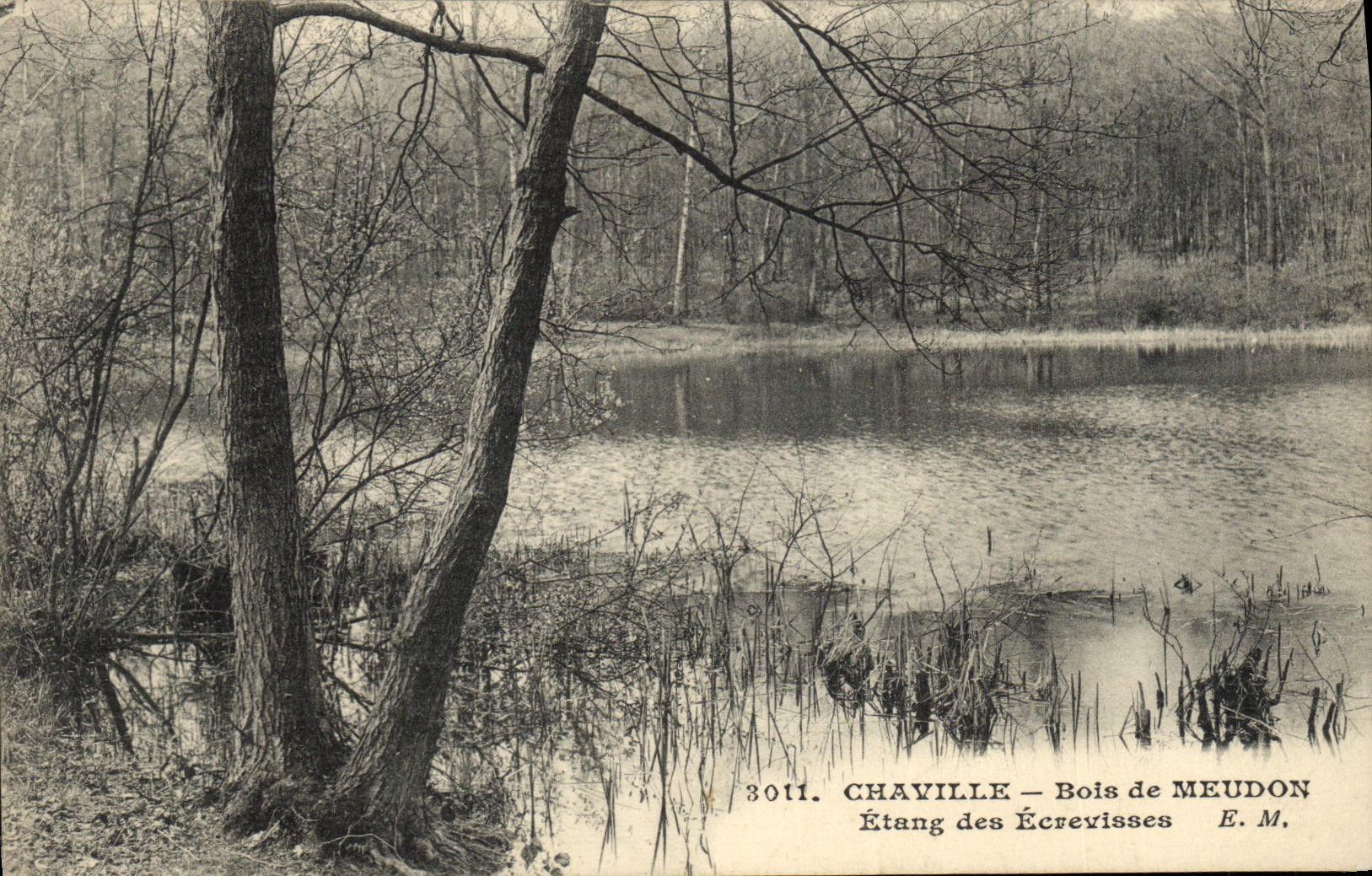 CPA Chaville Bois De Meudon Etang des Ecrevisses