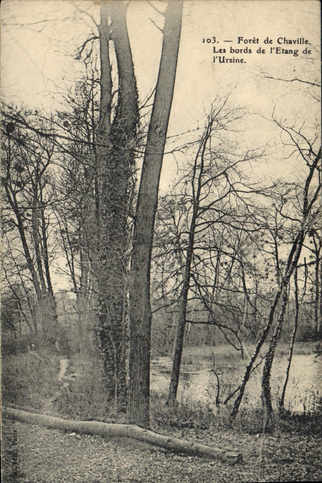 CPA Foret de chaville les bords de l'etang de l'Ursine