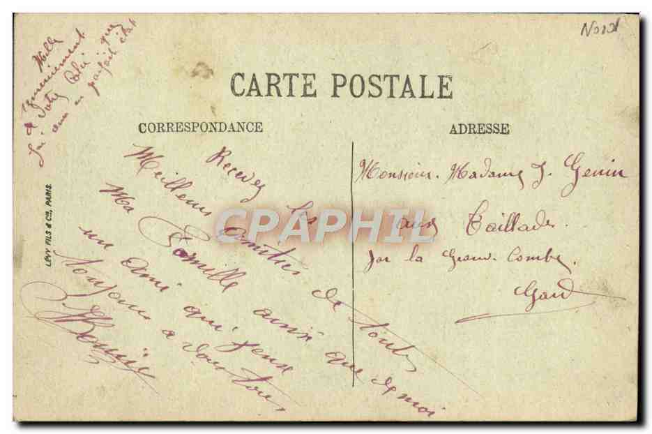 CPA Douai Le Jardin Public Le pont rustique — Rückseite