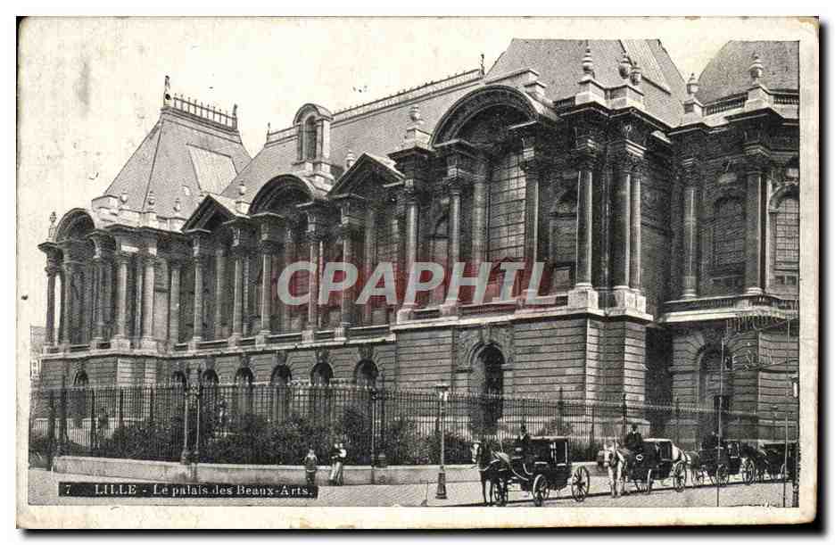 CPA Lille Le Palais des Beaux Arts