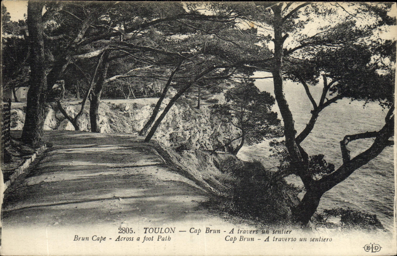 CPA Toulon Cap Brun A travers un sentier 