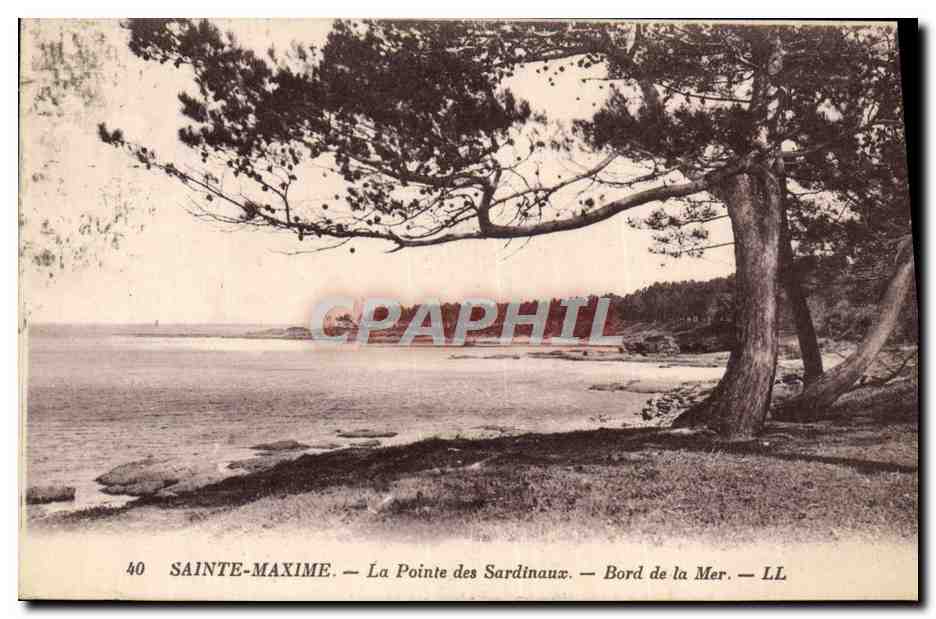 CPA Sainte Maxime La Pointe des Sardinaux Bord la Mer