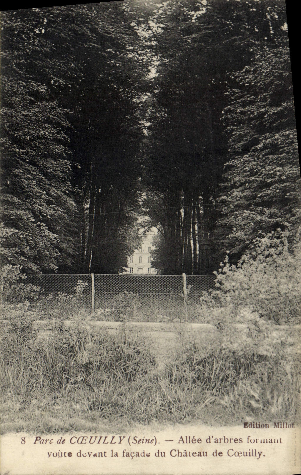 CPA Parc De Coeuilly Allee d'Arbres Voute formant voute devant la facade du chateau 