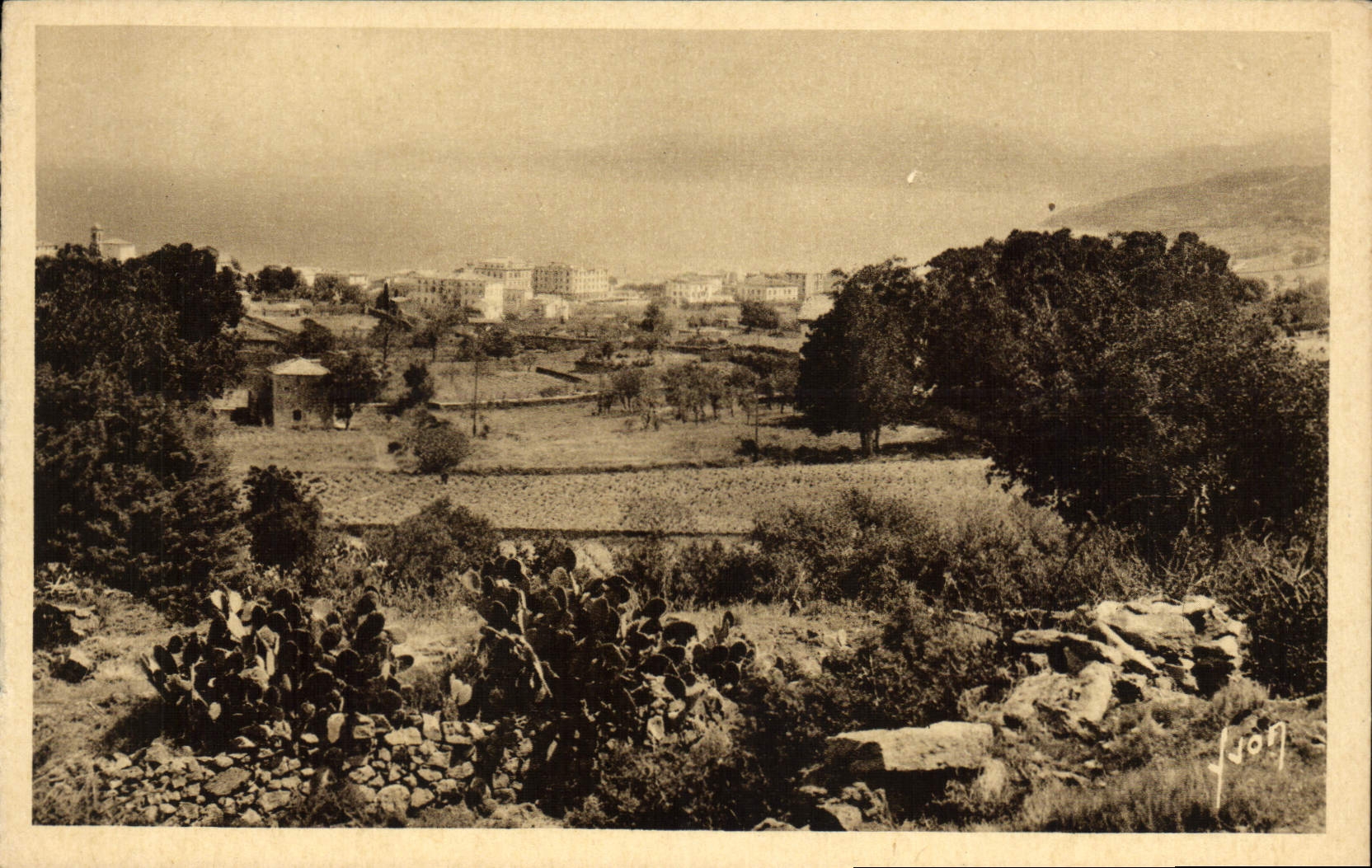 CPA Ile Rousse Vue Generale Corse