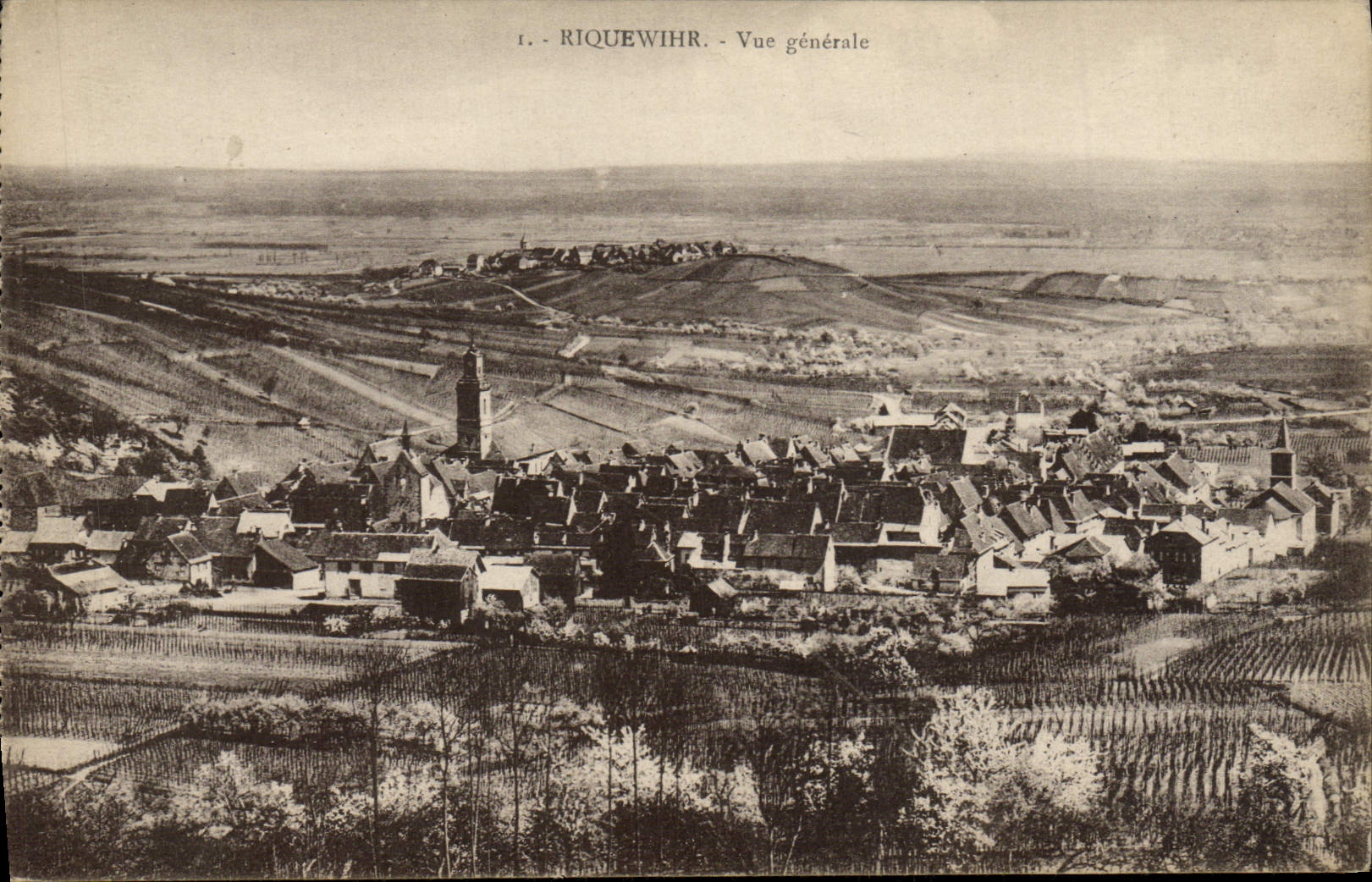 Riquewihr - Vue générale