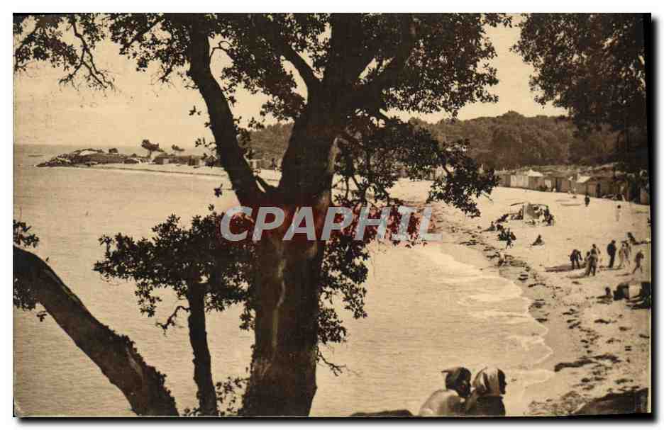 Ile de Noirmoutier — Plage des Dames — Editions Artisticques
