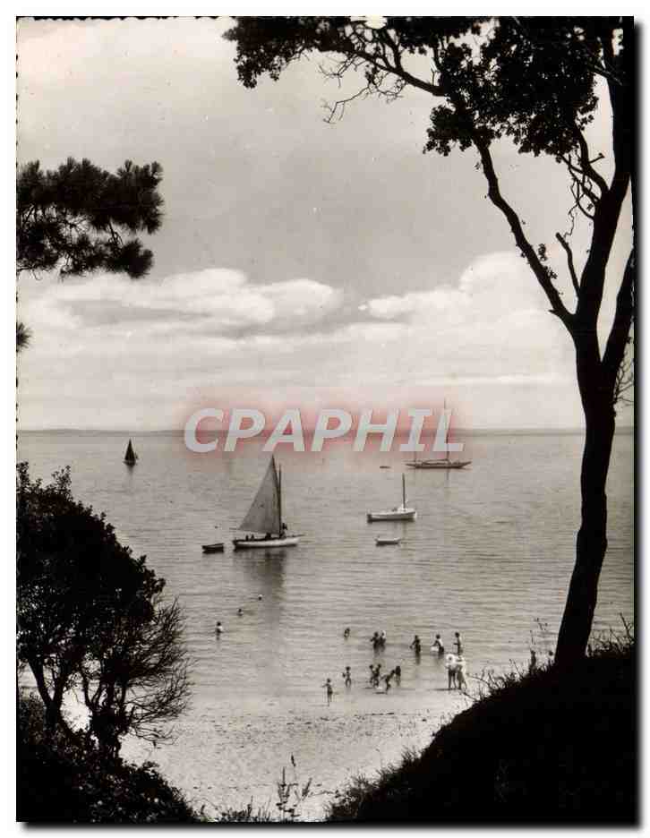Vue sur la mer, prise du bois de la Chaise — Noirmoutier (Vendée) — F. Chapeau, éditeur