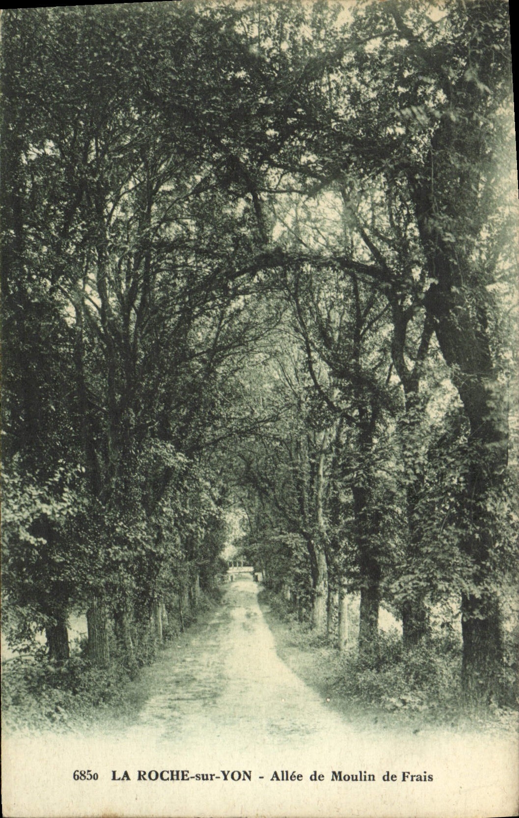 LA ROCHE-sur-YON - Allée de Moulin de Frais — éditeur B. Liergervin, n° 6850