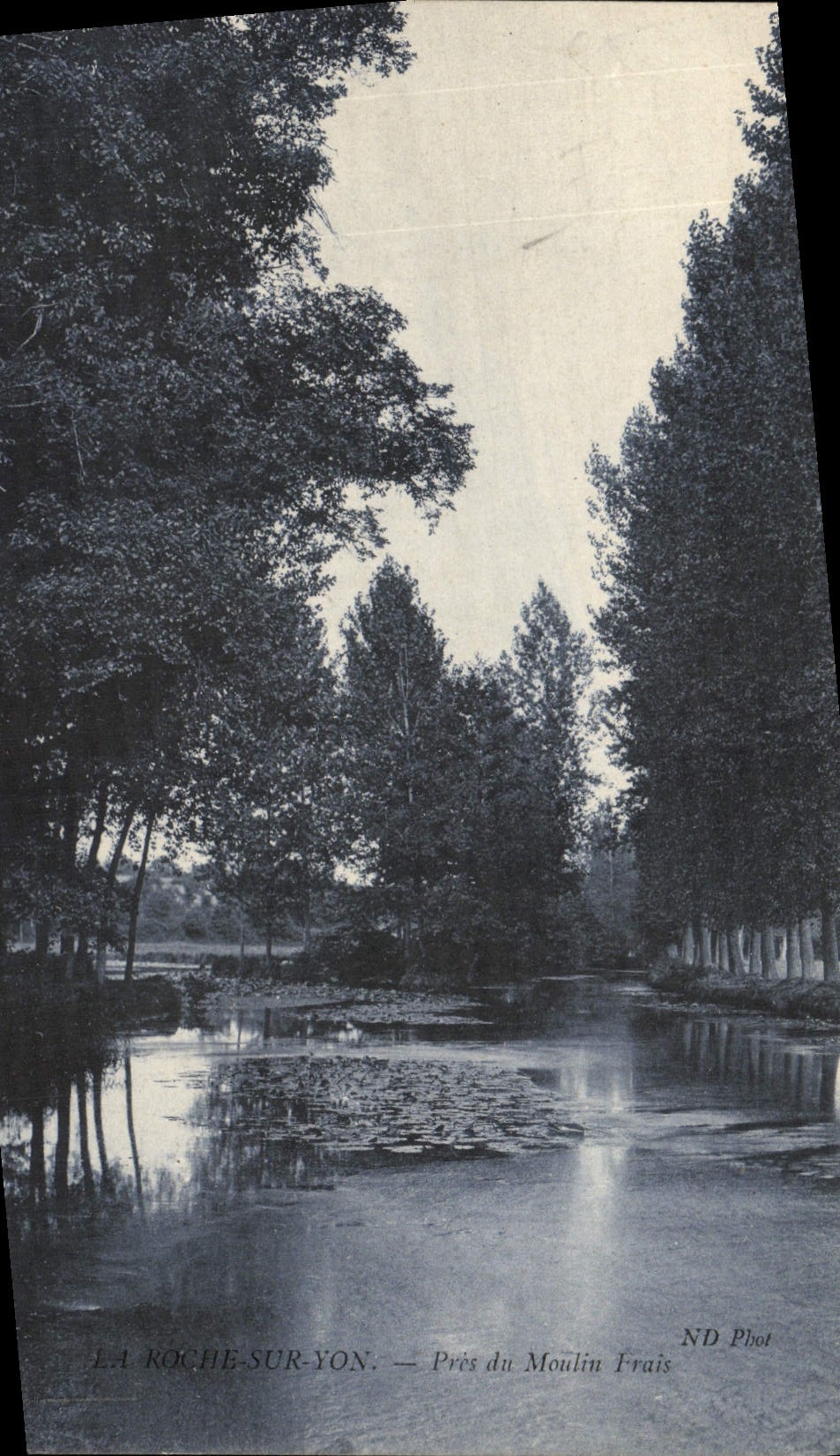 CPA La Roche sur Yon Pres du Moulin Frais Publicite Chaussures Digard Paris 