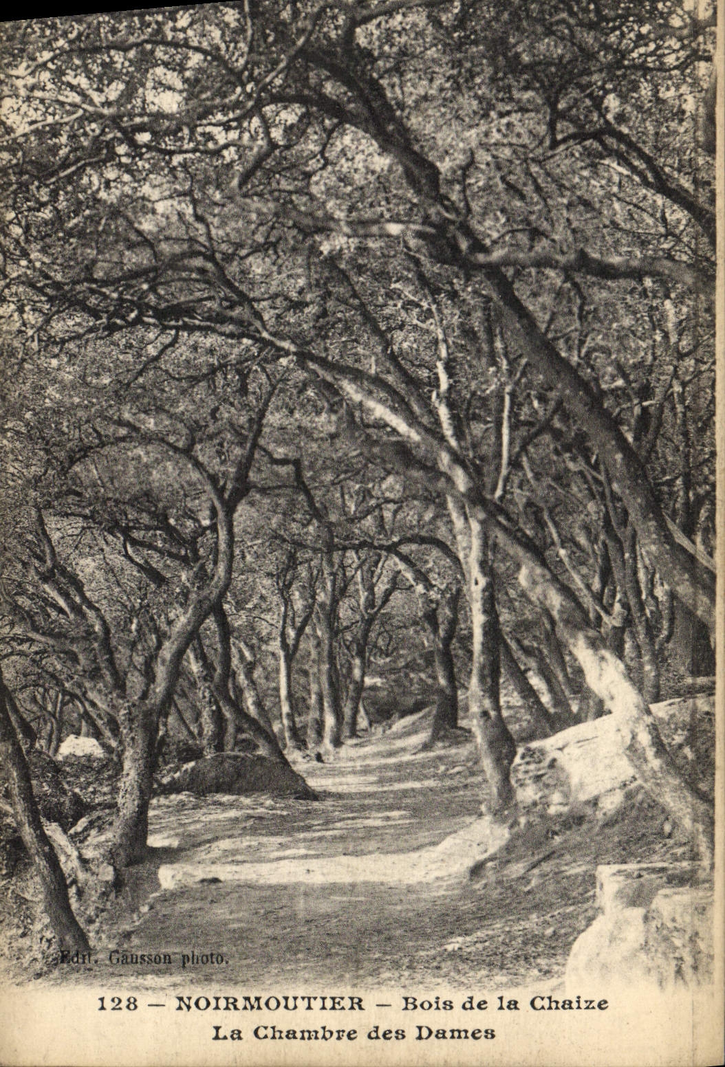CPA Ile de Noirmoutier Bois de la Chaize La chambre des Dames
