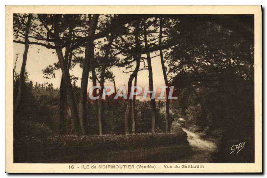 CPA Ile Noirmoutier Vue Du Gaillardin