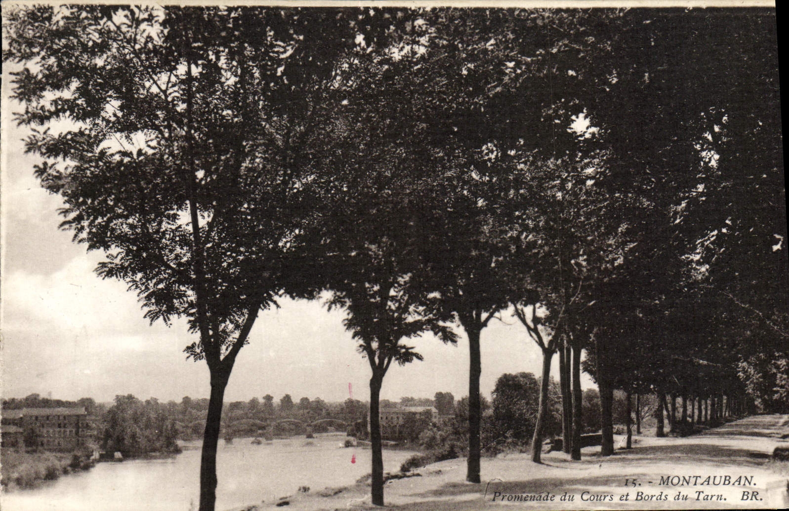 CPA Montauban Promenade du Cours et Bords du Tarn