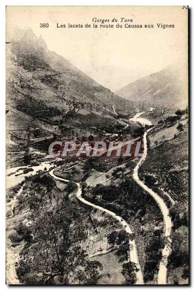 CPA Gorges Du Tarn Les Lacets de la Route du Causse aux Vignes