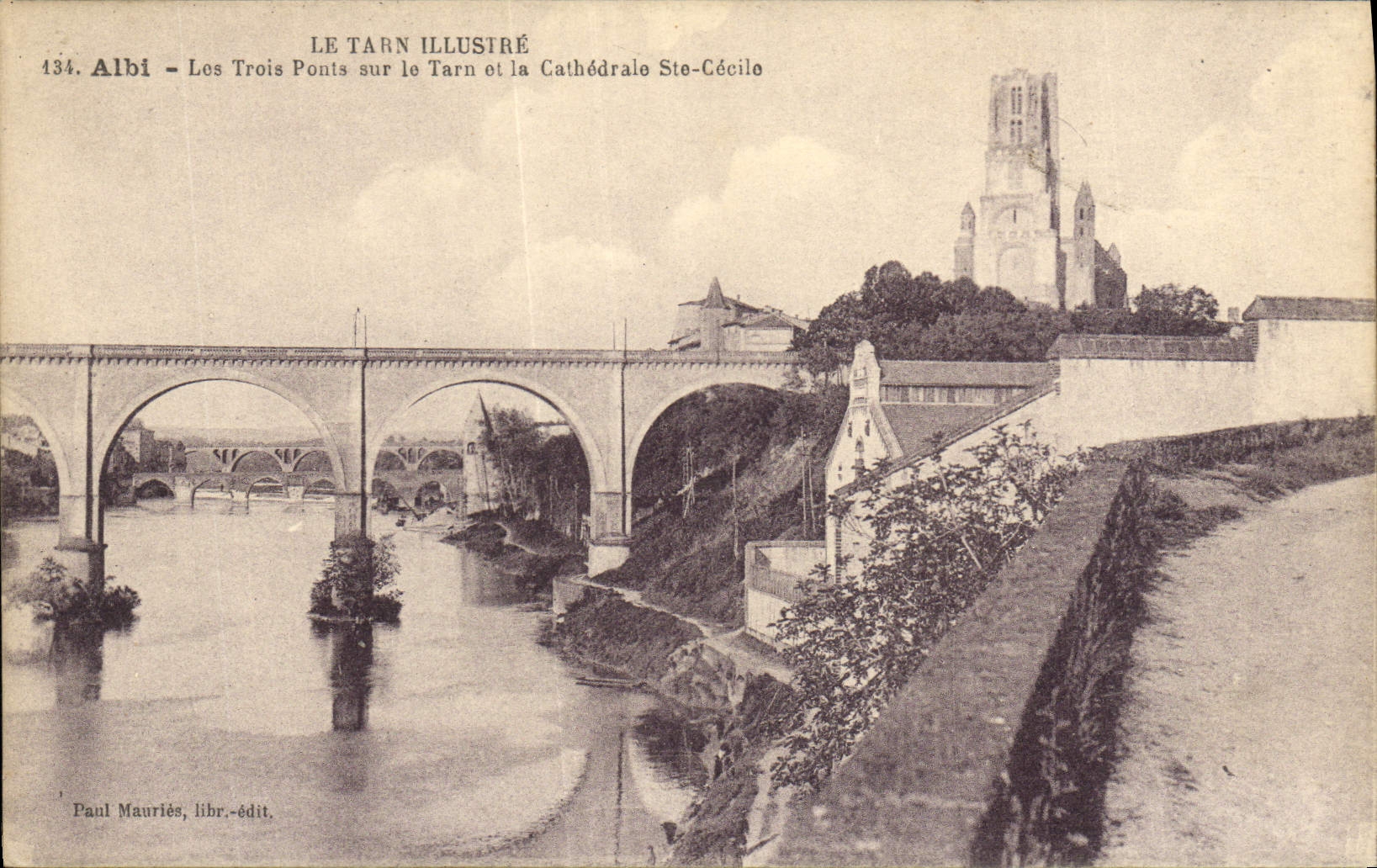 CPA Albi Les trois ponts sur le TArn et la cathedrale Ste Cecile 