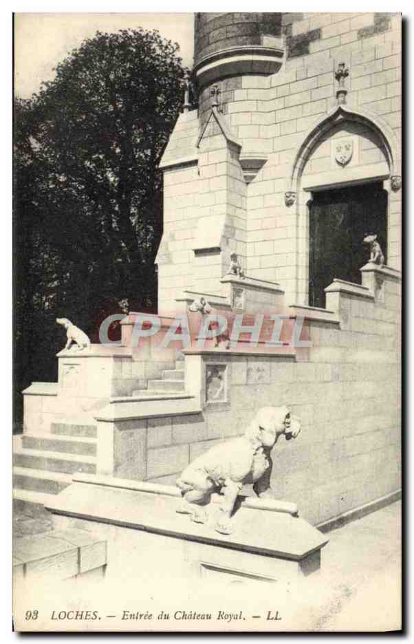 CPA Loches Entree Du Chateau Royal Chien