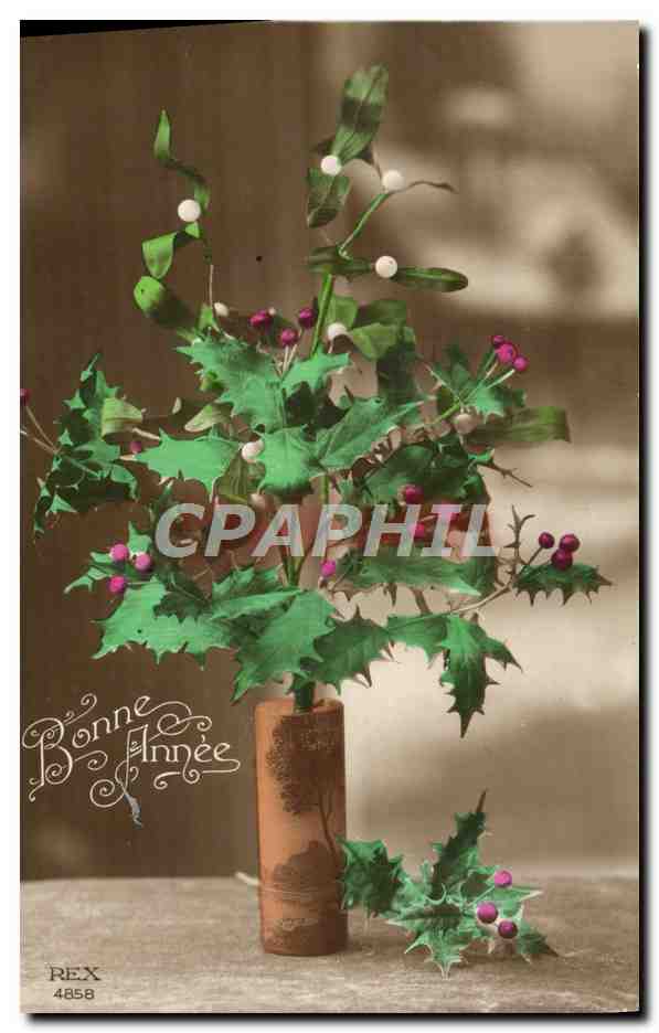 CPA Fantaisie Fleurs Houx