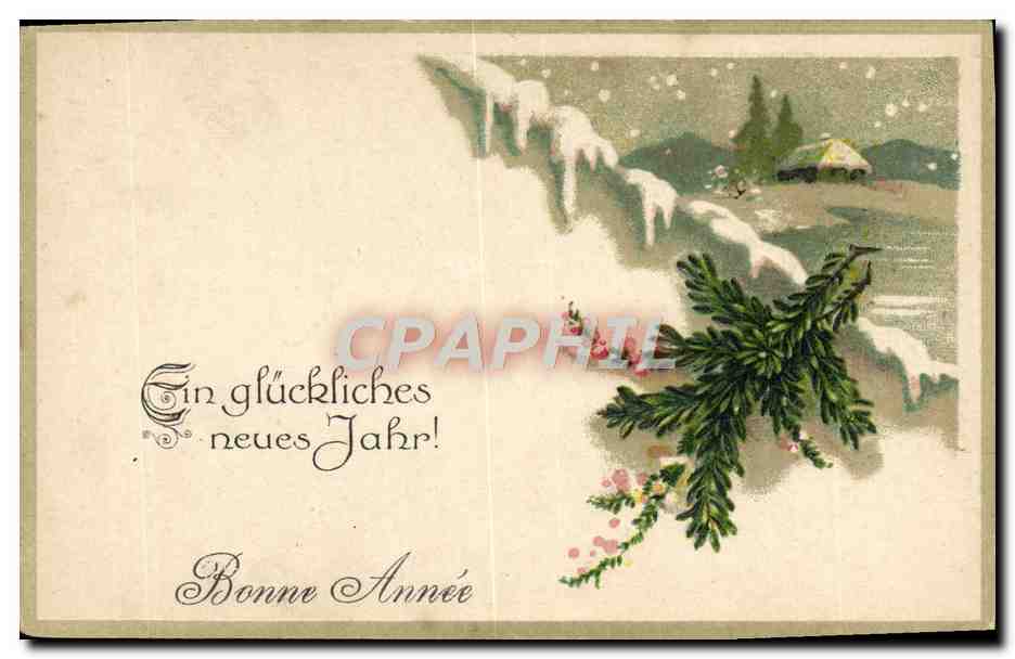 CPA Fantaisie Nouvel an