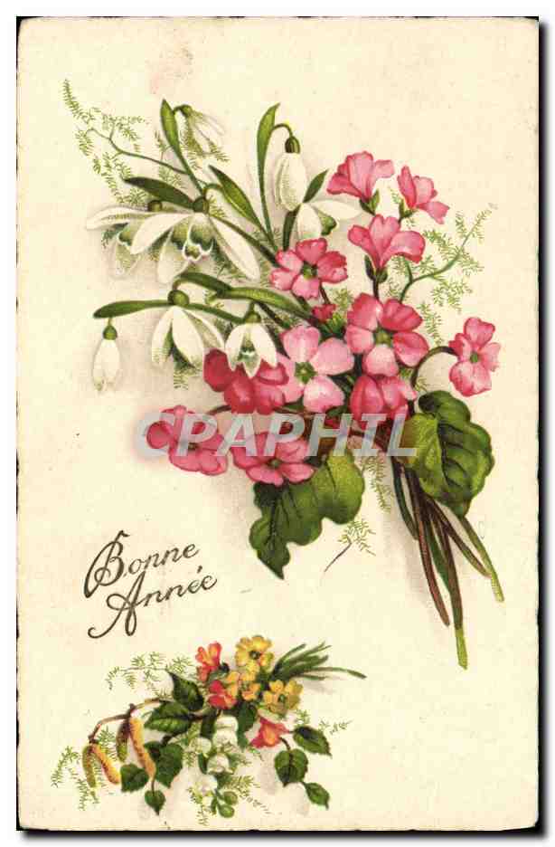 CPA Fantaisie Fleurs