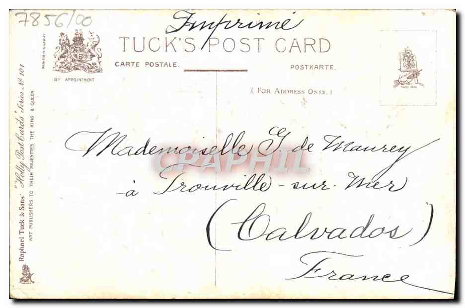 Boîte de Noël ornée de houx et d'oiseaux — Tuck's Post Card n°7856/00 — Rückseite