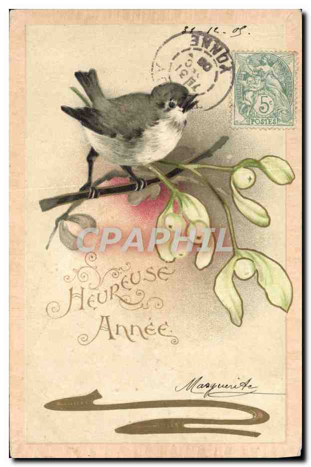 CPA Fantaisie Bonne annee Oiseau 