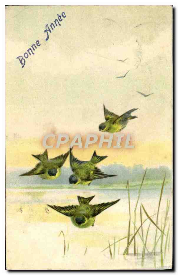 CPA Fantaisie Bonne annee Oiseaux