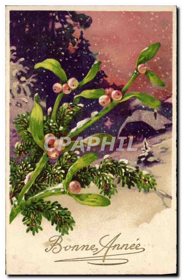CPA Fantaisie Fleurs
