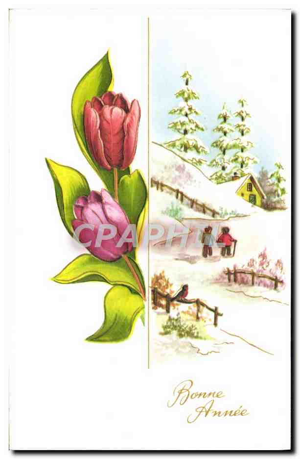 CPA Fantaisie Bonne annee