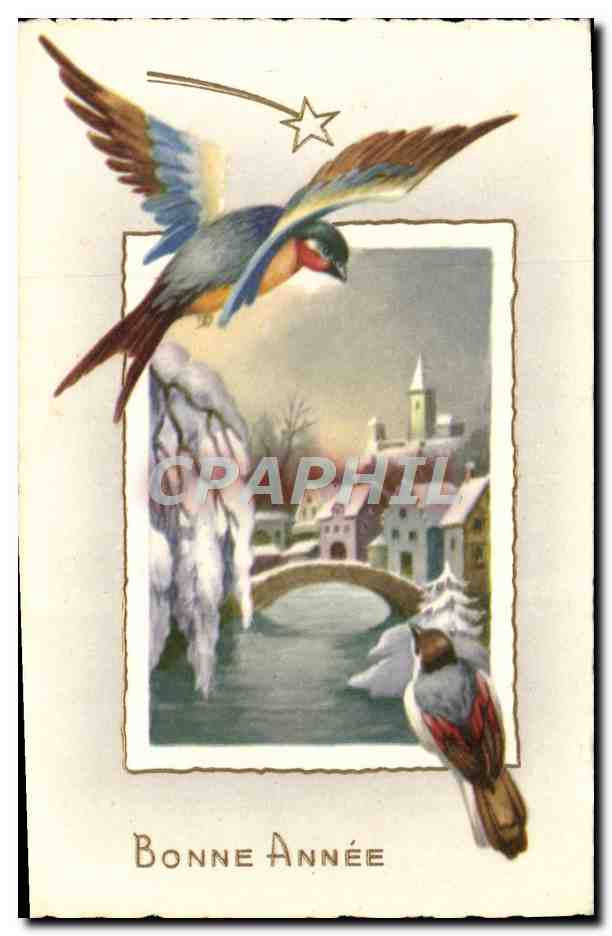 CPA Fantaisie Bonne Annee Oiseaux