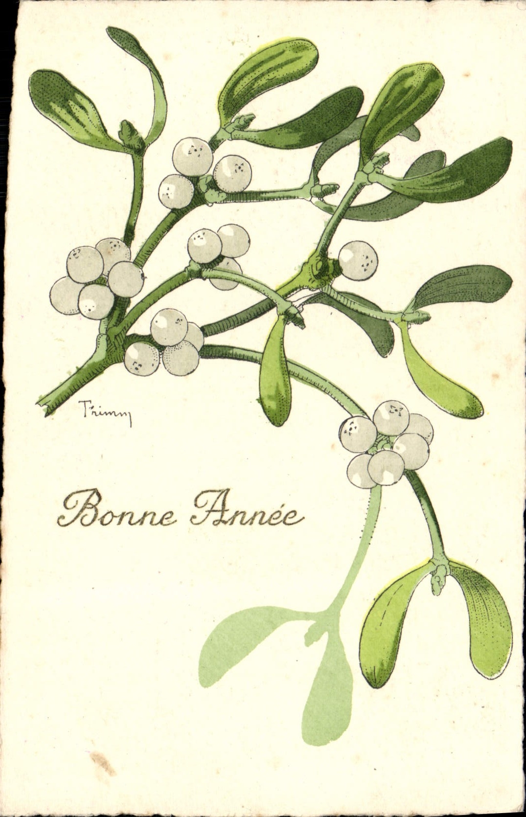 CPA Fantaisie Fleurs Gui