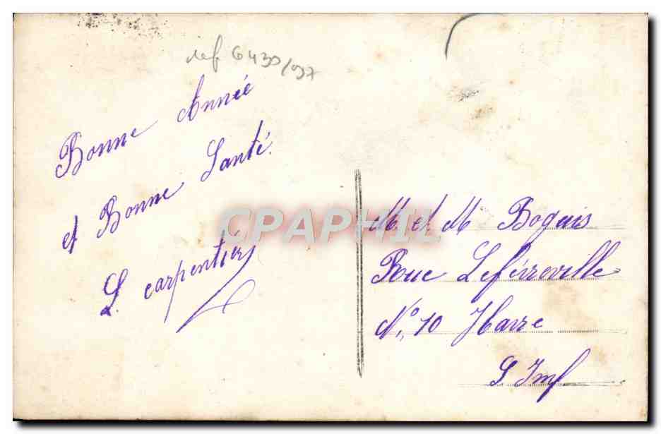 Jeune femme en fourrure — avec bouquet de houx et roses — éditeur Mary n°104 — Verso