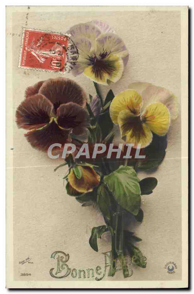CPA Fantaisie Fleurs