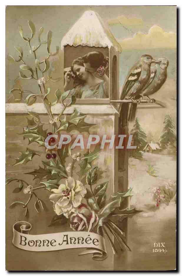 Zwei Vögel auf einem Vogelstangen — Winterlandschaft mit Paar im Hintergrund — DIX 1094