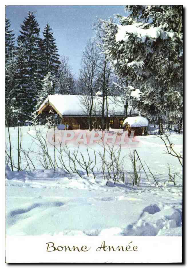 CPM Fantaisie Chalet Bonne annee