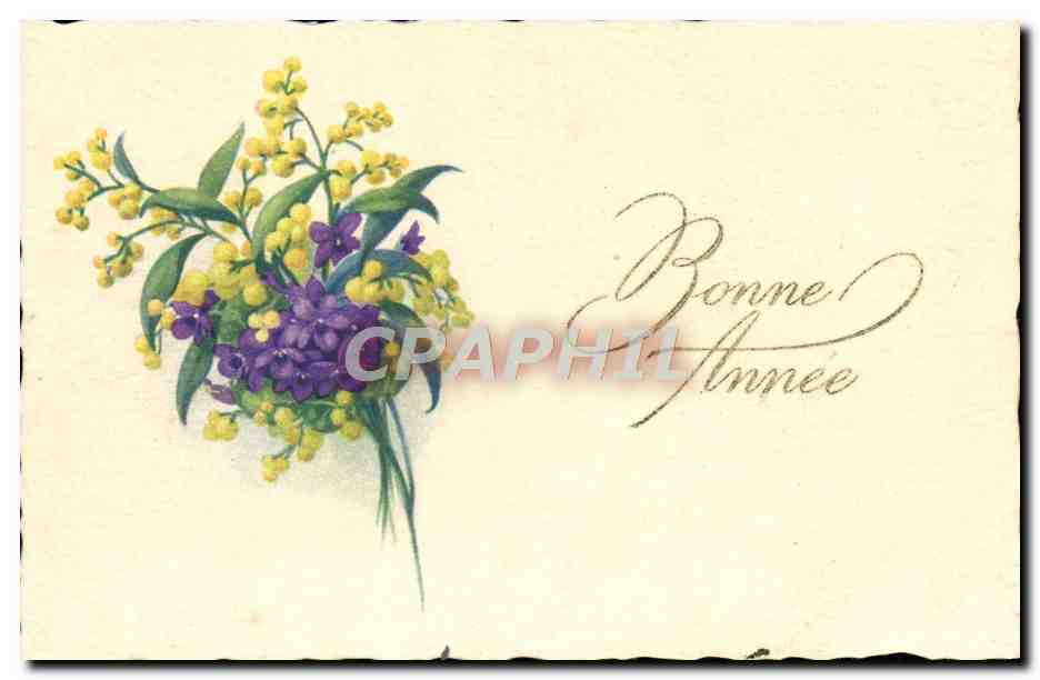 CPA Fantaisie Fleurs