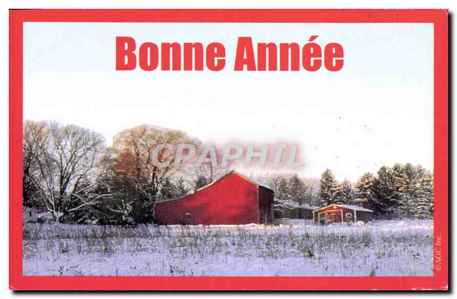 CPM Fantaisie Bonne annee