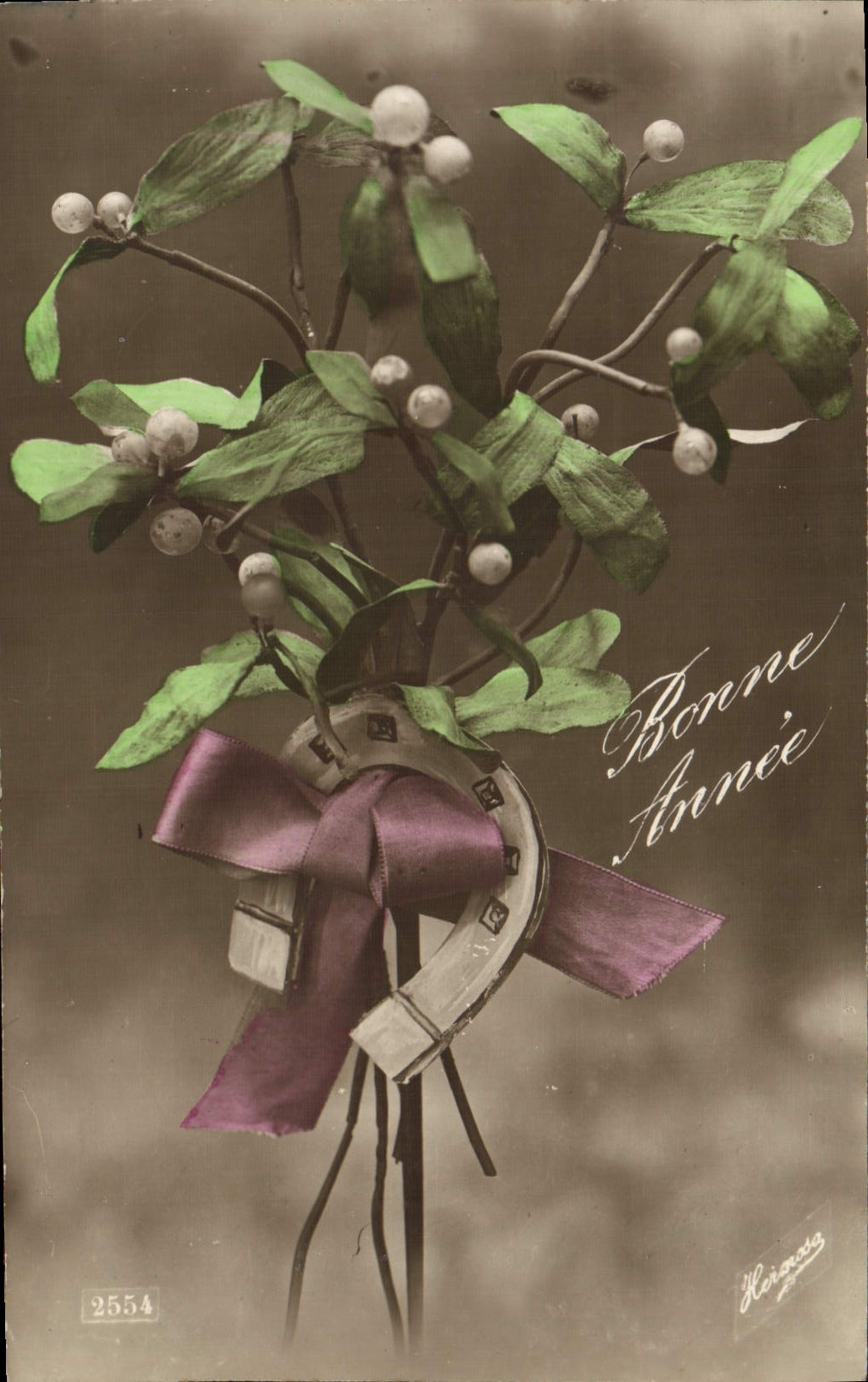 CPA Fantaisie Fleurs Gui Fer a cheval