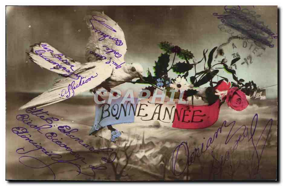 CPA Fantaisie Colombe Bonne annee