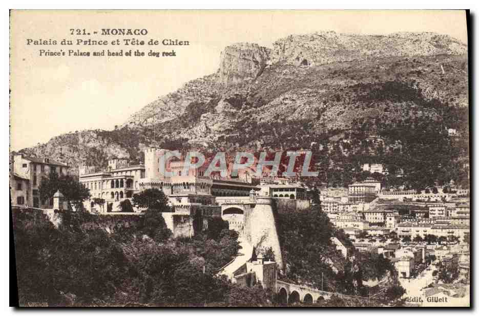CPA Monaco Palais du Prince et Tete de Chien 