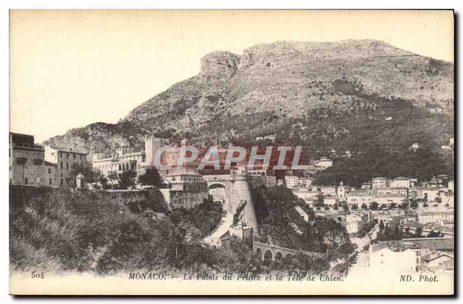 CPA Monaco Le Palais du Prince et la Tete d eChien 