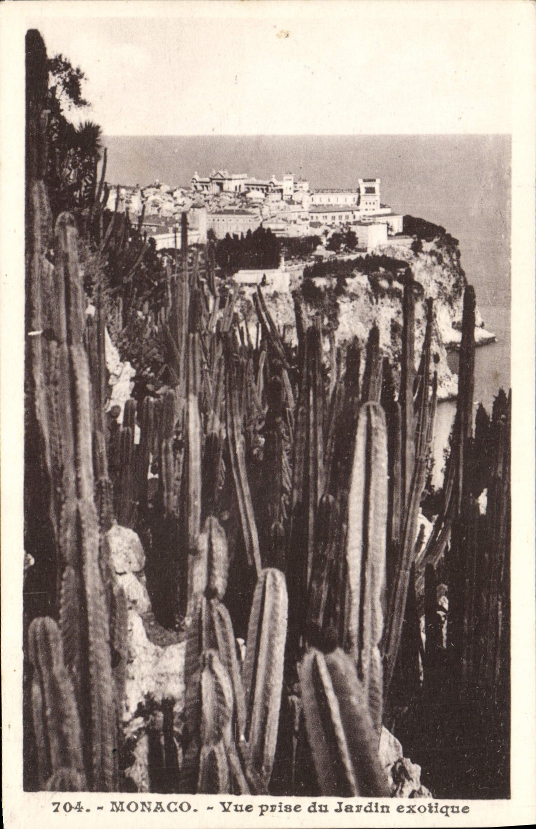 CPA Monaco Vue prise du jardin exotique Cactus