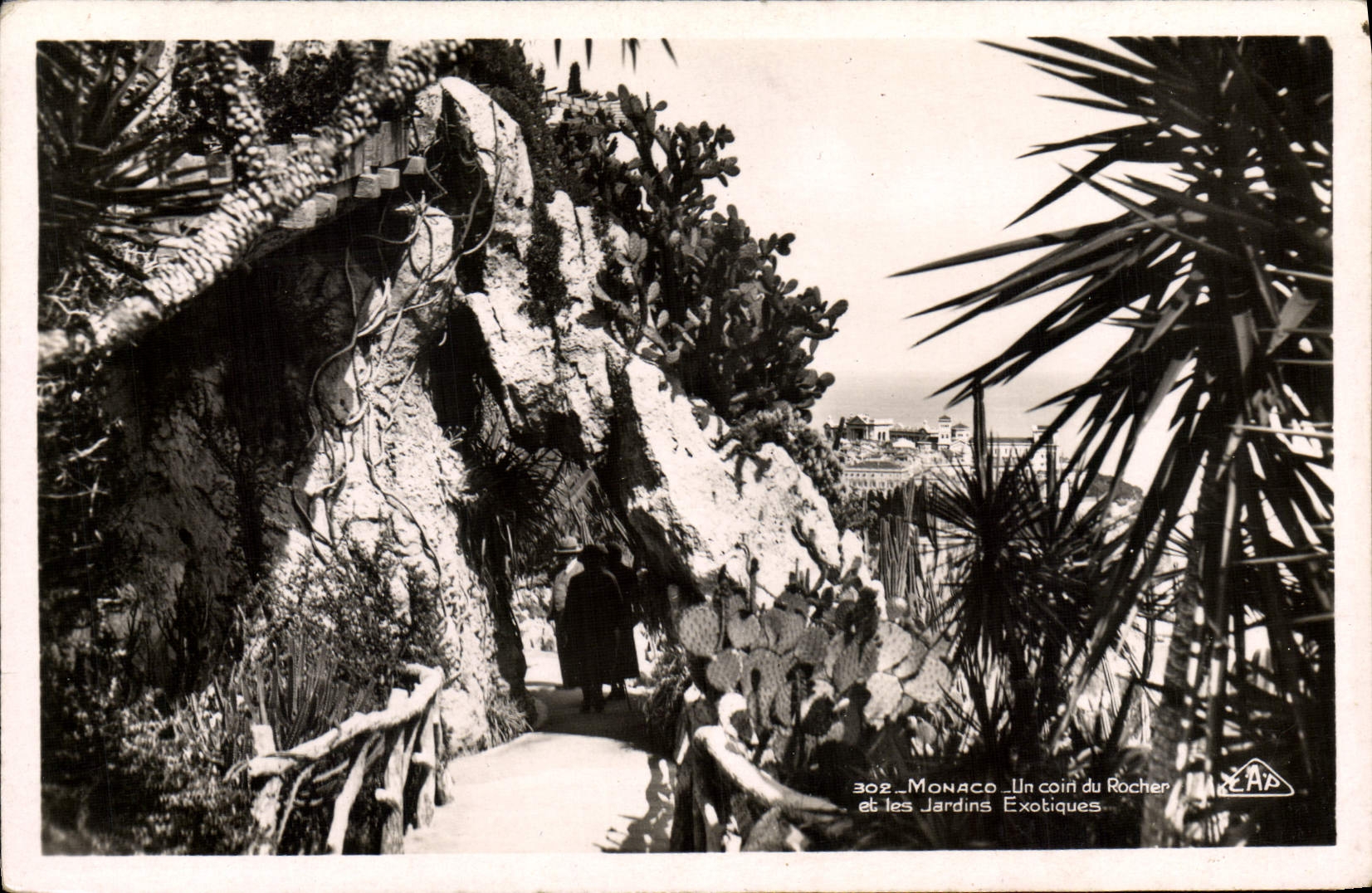 CPA Monaco Un coin du rocher et les jardins exotiques