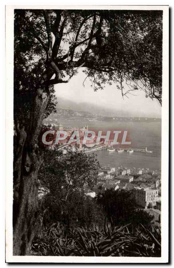 CPA Monte Carlo Vu du jardin exotique