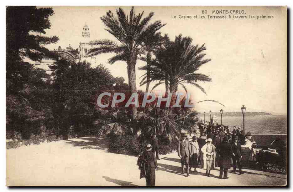 CPA Monte Carlo Le Casino et les Terrasses a travers les palmiers