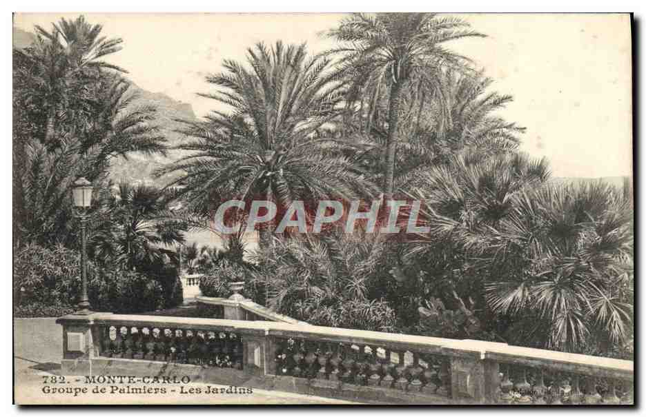 CPA Monte Carlo Groupe De Palmiers Les jardins