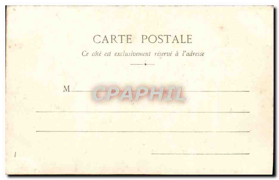CPA Monte Carlo Groupe De Palmiers Les jardins — Verso
