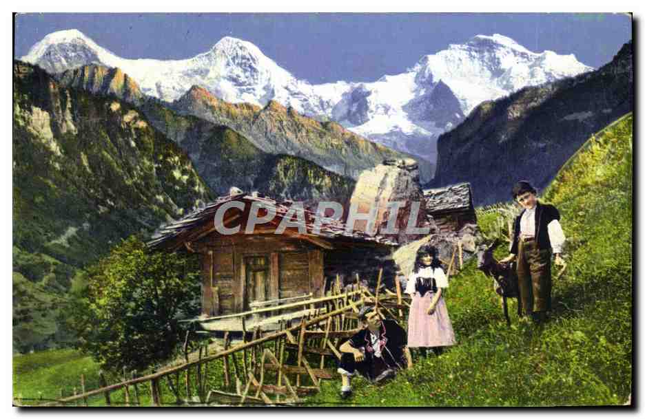 CPA Paysage Suisse Chevre 